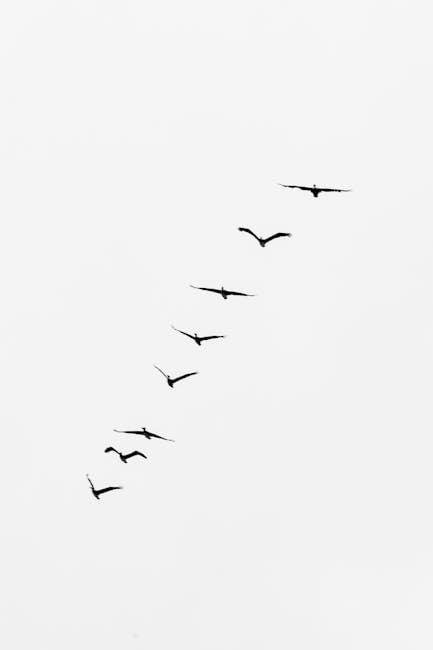 Savvy Tips ⁤for Scoring the ⁣Best​ Deals on⁤ Direct⁣ flights
