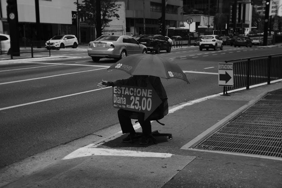 understanding SLC Parking Rates and structures