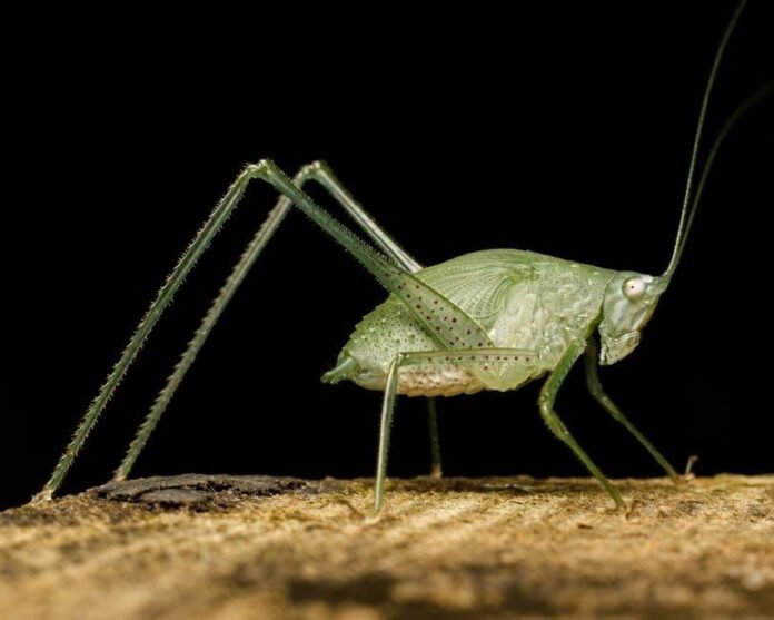 hopper-vs-skyscanner-which-finds-better-slc-deals.jpeg Hopper vs. Skyscanner: Which Finds Better SLC Deals?