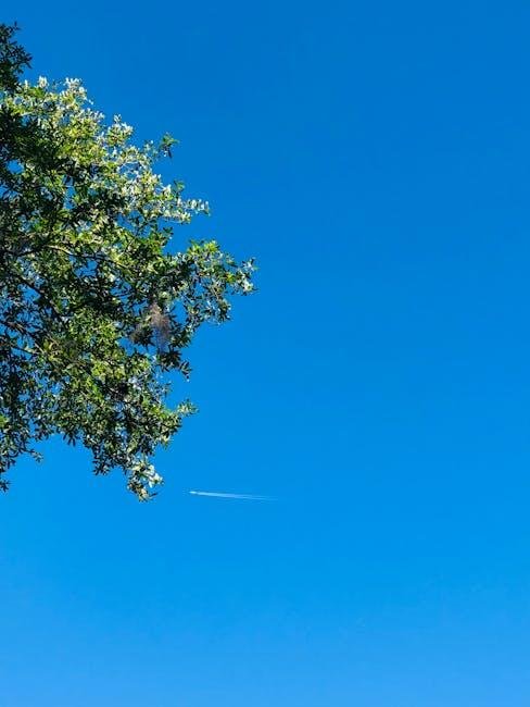 why-you-should-use-google-flights-for-slc-trips.jpeg Why You Should Use Google Flights for SLC Trips